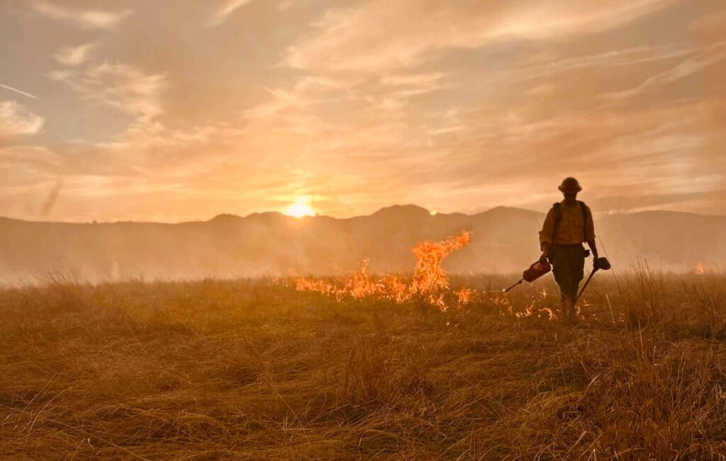 Firefighter at work