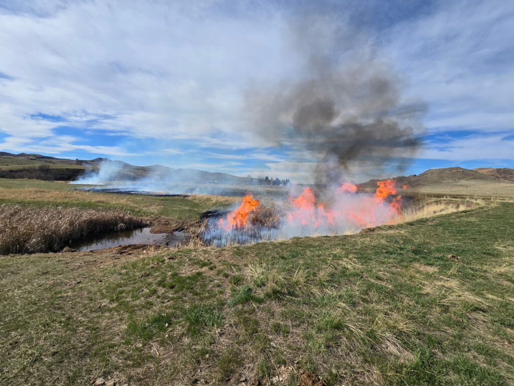 Grass fire with rising smoke