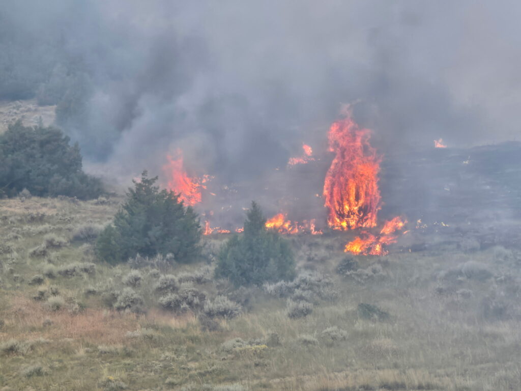 Rangeland fire among juniper