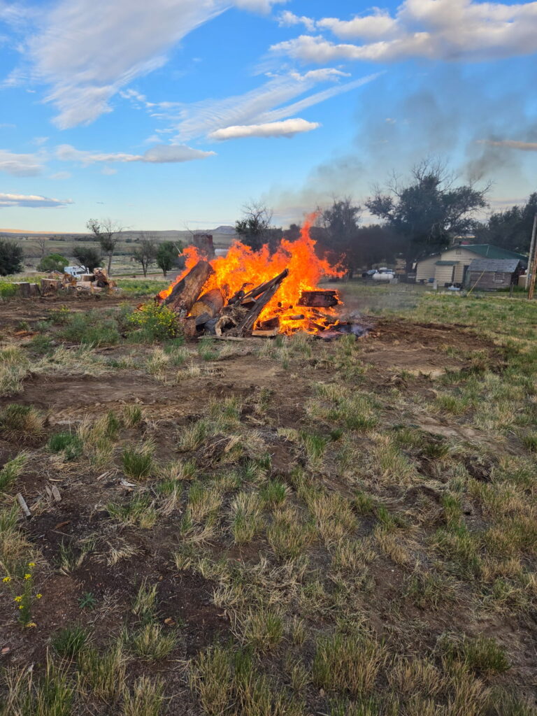 Brush pile burning